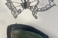 Andres, Art 2-3, Butterfly Details