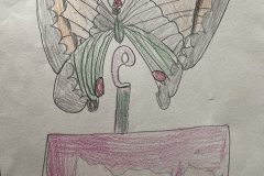 Katelyn, Art 2-3, Butterfly Details