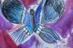 Katelynn, Art 2-3, Butterfly Test