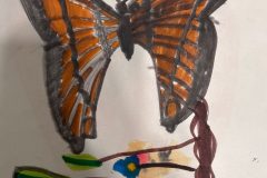Nora, Art 2-3, Butterfly Details