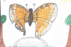 Samantha, Art 2-3, Butterfly Details