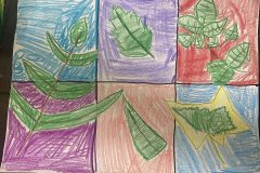 Ryan, Art 4-5, Leaf Details