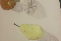 Harlow, Art 6-8, Pear and Pumpkin Value Study