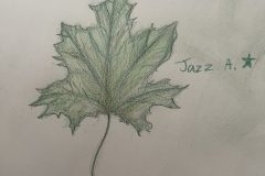 Jazz, Art 6-8, Study of a Leaf