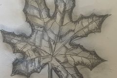 Sabrina, Art 6-8, Study of a Leaf