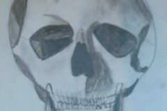 Benji, VA1, Skull Study