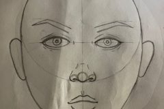 Haley, VA1, Facial Composition Study