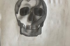 Haley, VA1, Skull Study