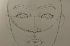 Mylovely, VA1, Skull Study and Facial Proportions 
