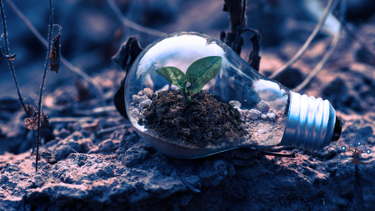 A lightbulb sitting on the dirt with a green plant sprouting inside the bulb.