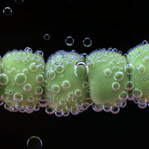 An abstract image of bubbles around a green surface.