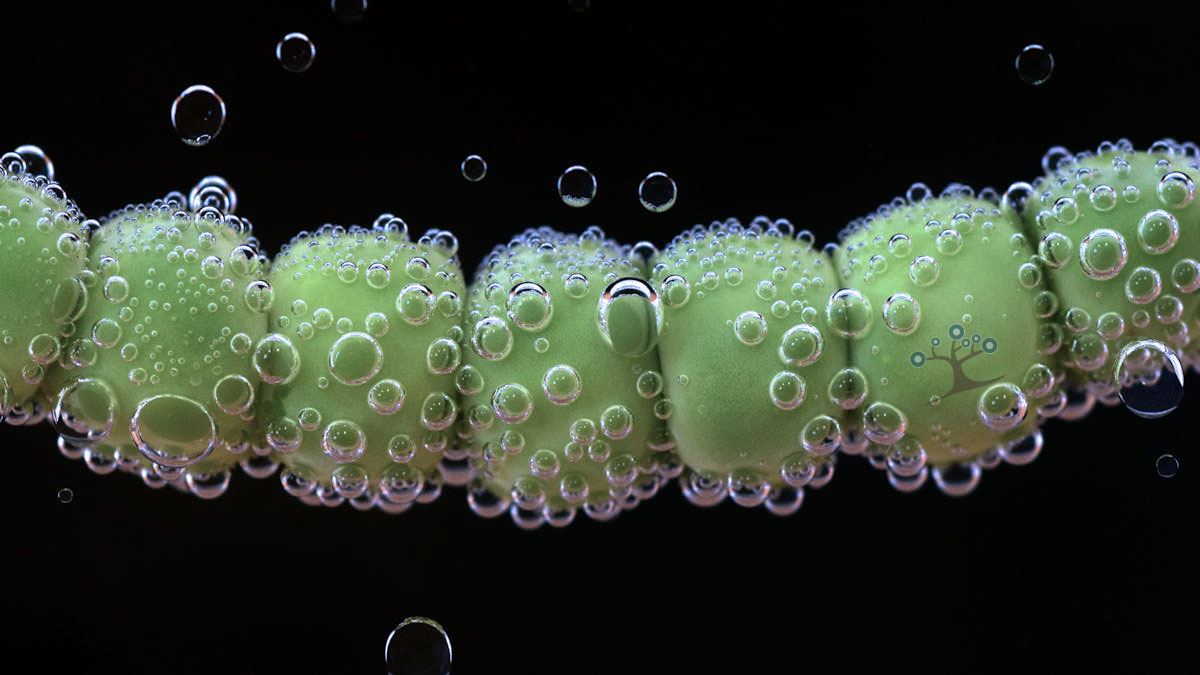 An abstract image of bubbles around a green surface.