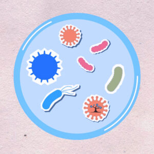 Illustrations of bacteria in a dish as seen through a microscope.